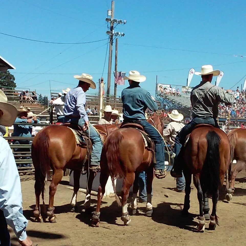 Rodeohorses