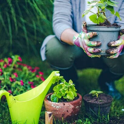 Portrait of mid-adult woman proudly showing her plants